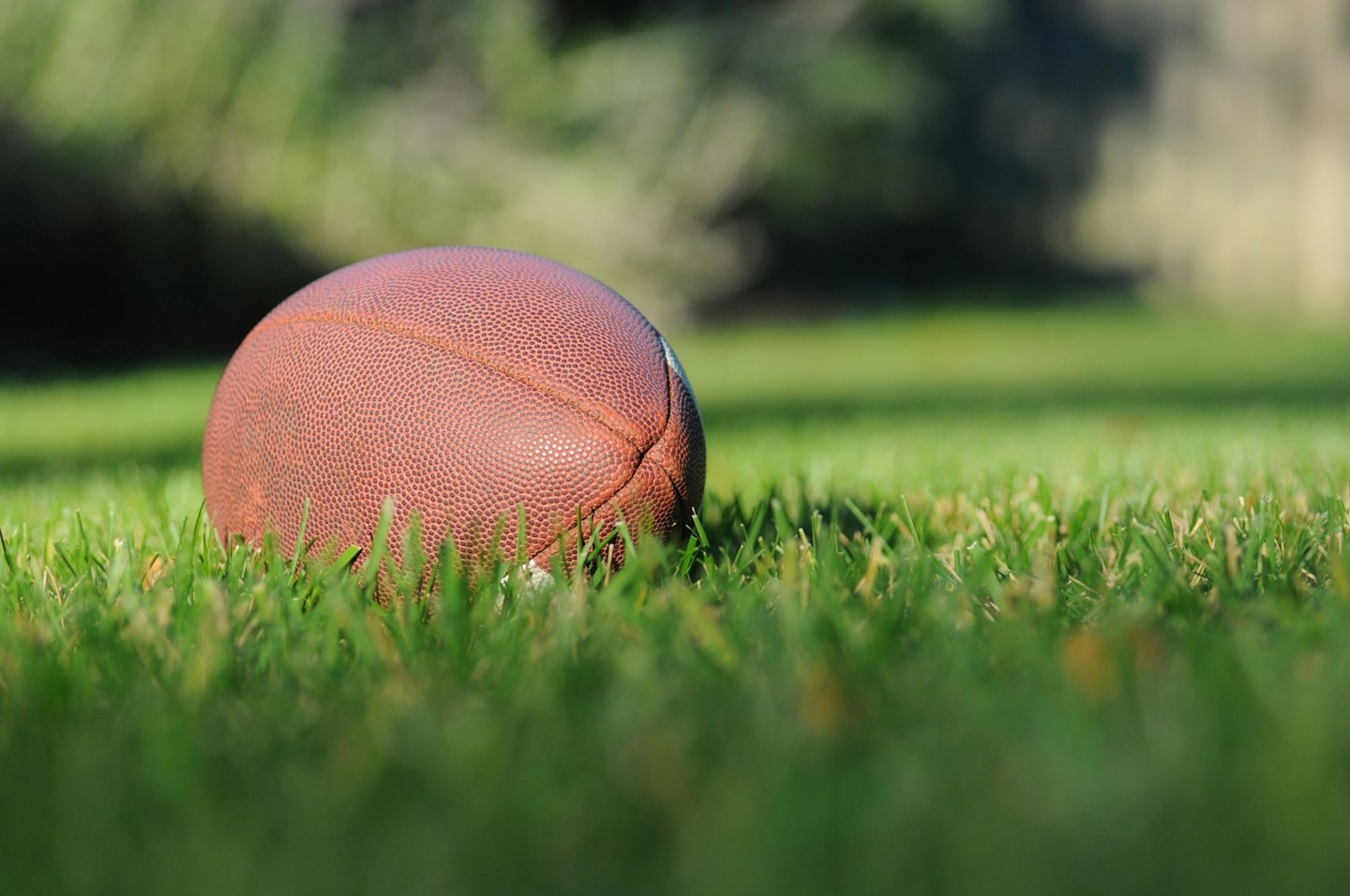 Brown American football rests on green grass outdoors.